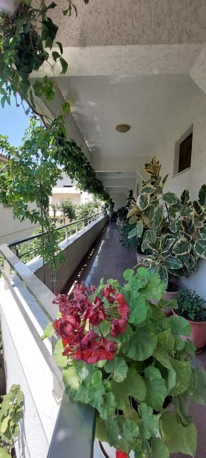 Villa Madani Драч Екстериор снимка